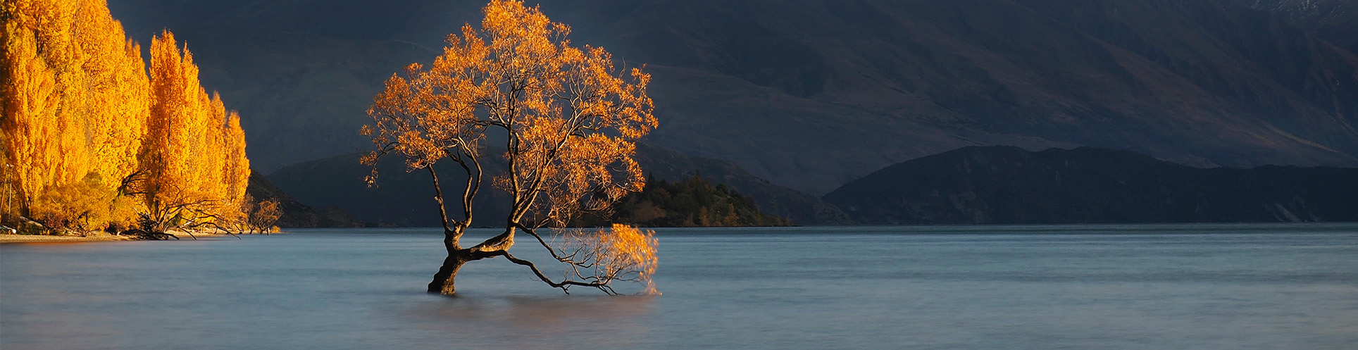 Homepage Banner 3 - NZ Owned